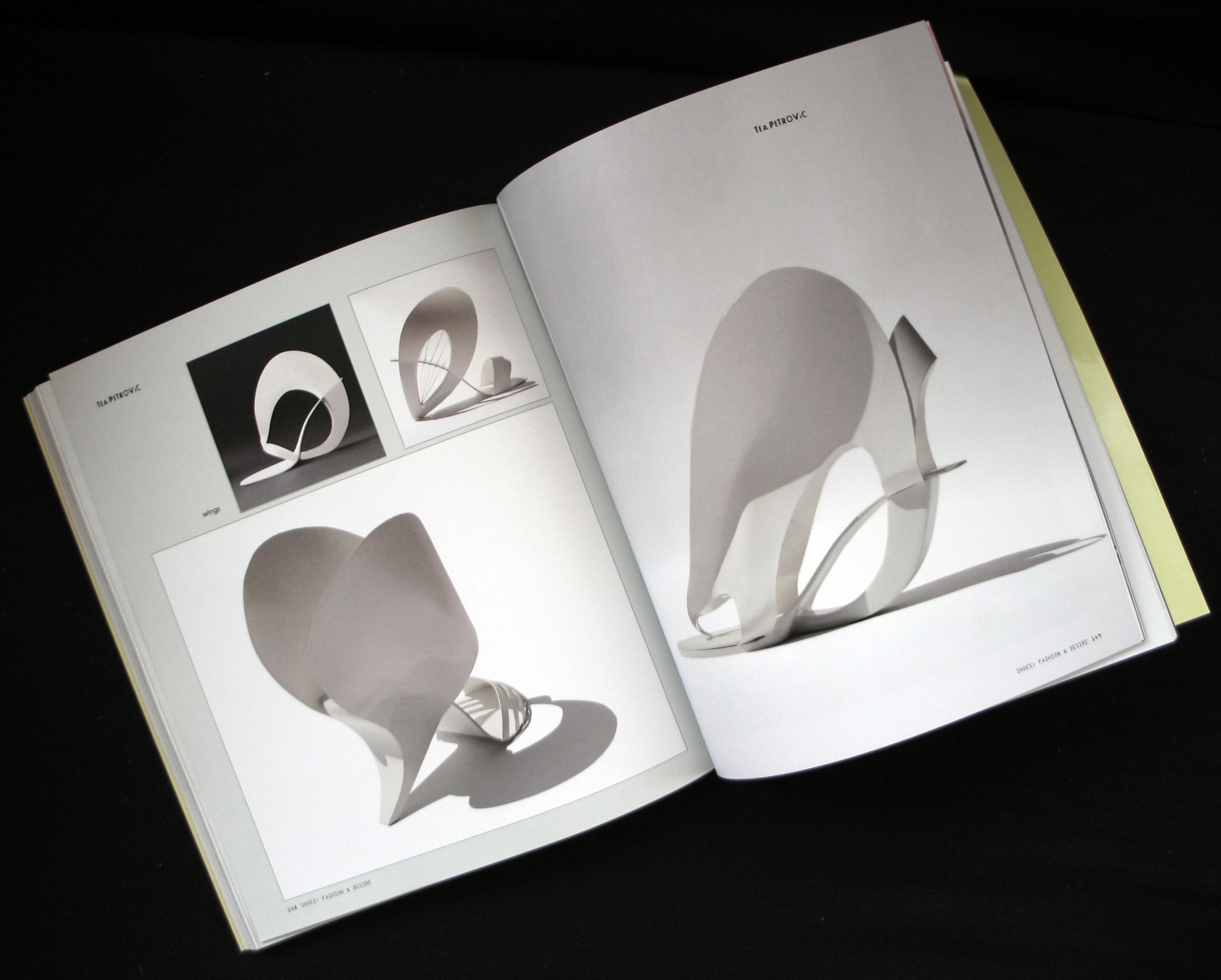 Fashion & Desire by Monsa